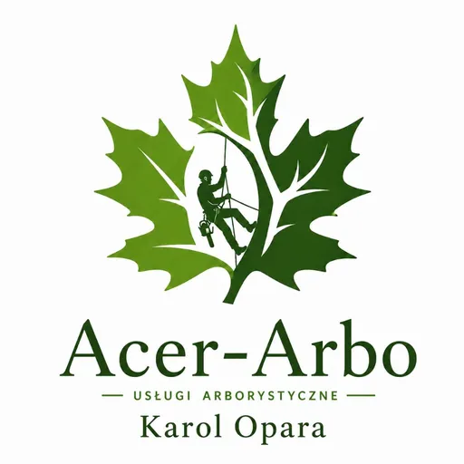 Acer-Arbo